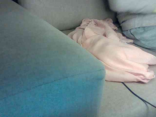 Dollie webcam