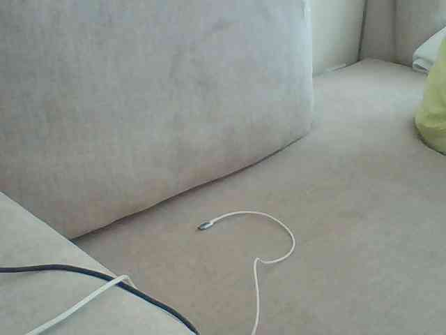 Dollie webcam