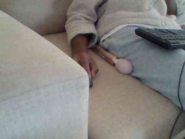 Dollie webcam