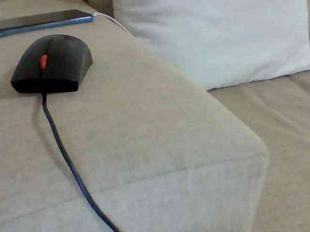 Dollie webcam
