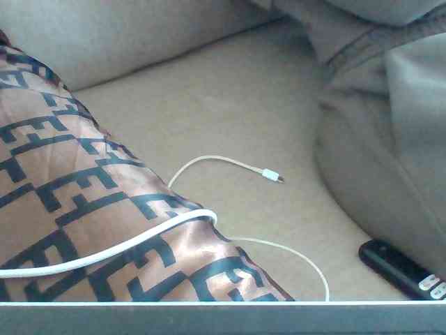 Dollie webcam