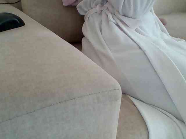 Dollie webcam