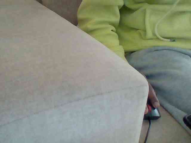 Dollie webcam