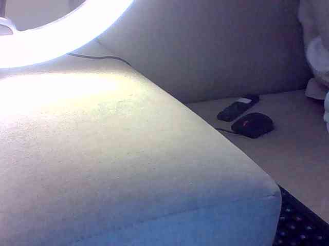 Dollie webcam