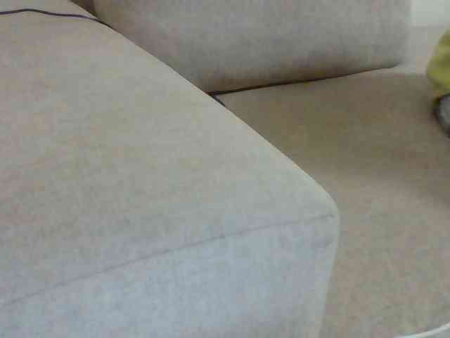 Dollie webcam
