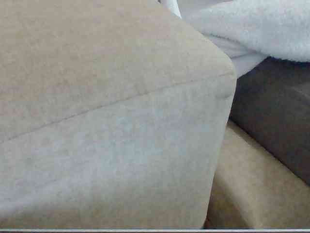Dollie webcam