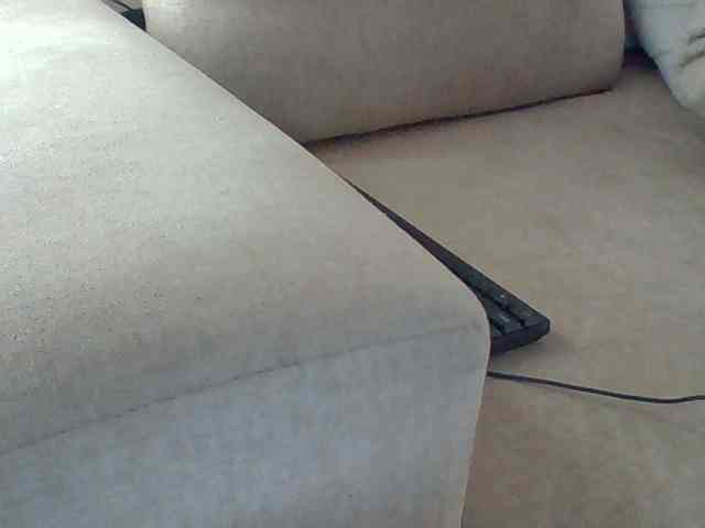Dollie webcam
