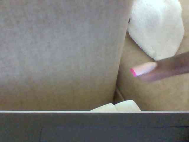 Dollie webcam