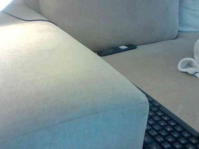 Dollie webcam