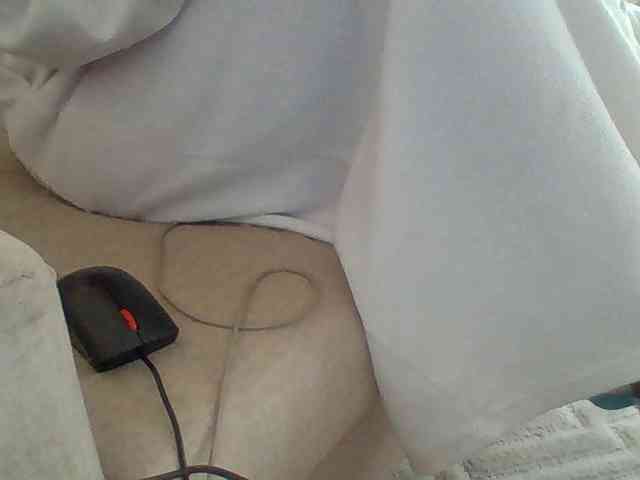 Dollie webcam