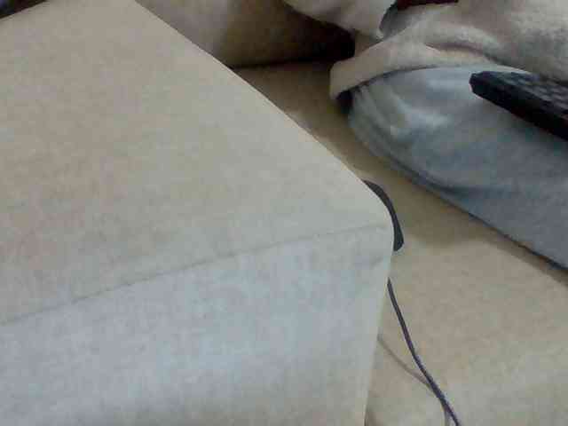 Dollie webcam