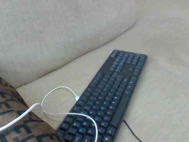 Dollie webcam