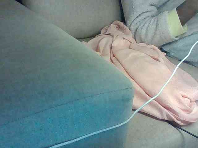 Dollie webcam