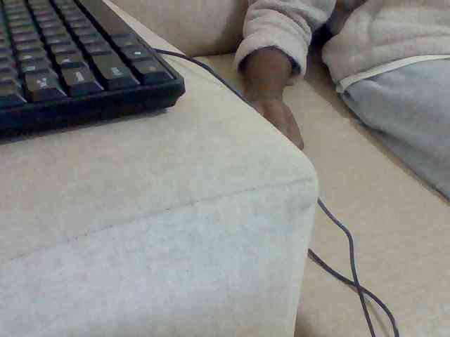 Dollie webcam