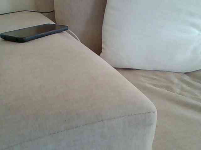 Dollie webcam