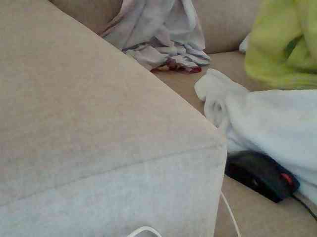 Dollie webcam