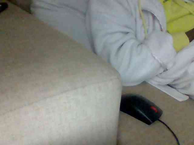 Dollie webcam