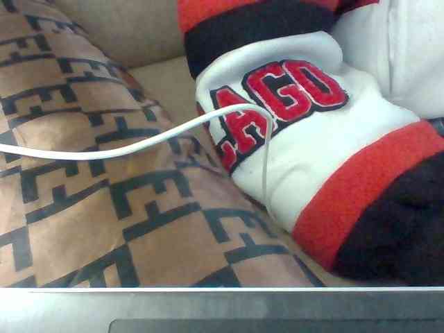 Dollie webcam