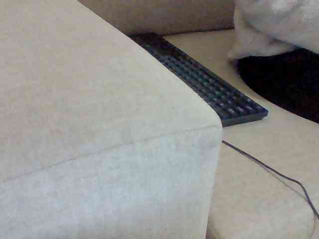 Dollie webcam