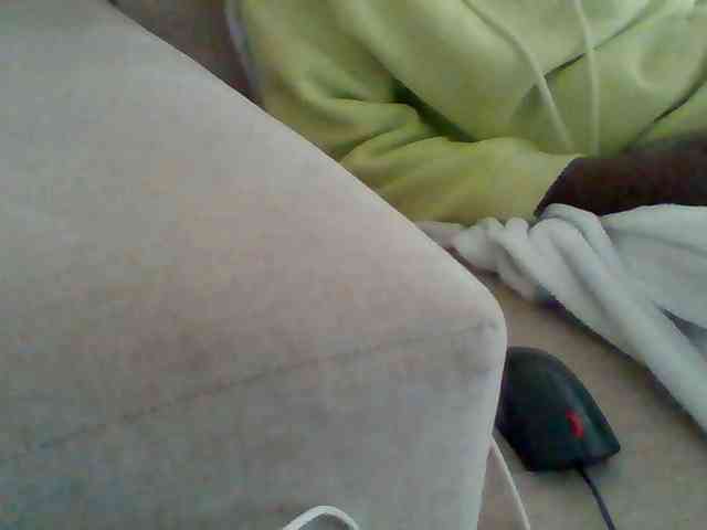 Dollie webcam