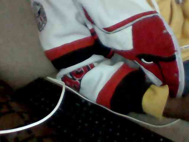 Dollie webcam
