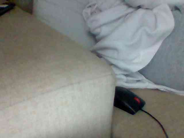 Dollie webcam