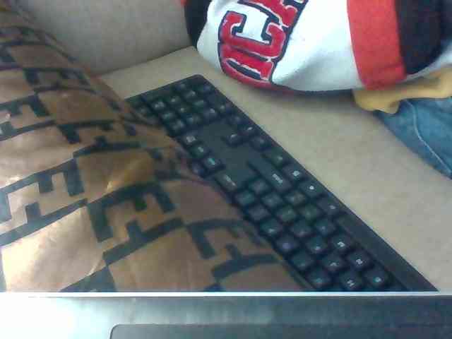 Dollie webcam