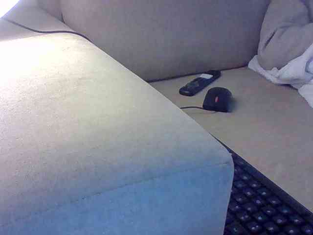 Dollie webcam