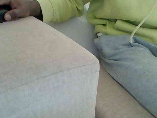 Dollie webcam