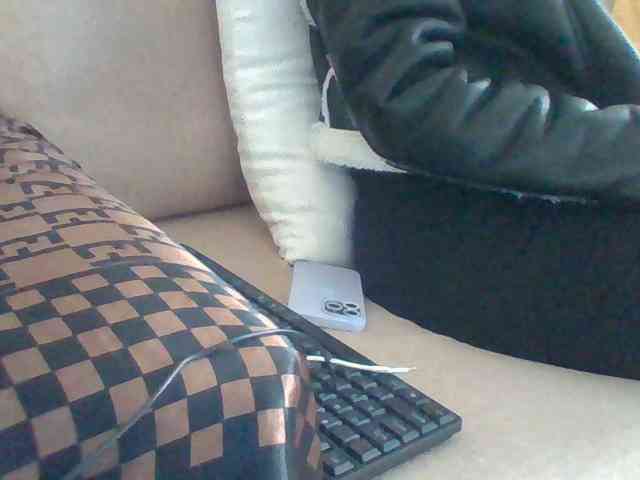 Dollie webcam