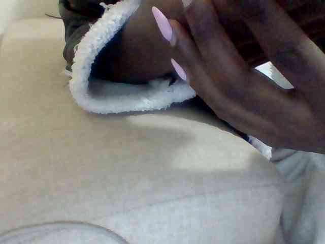 Dollie webcam