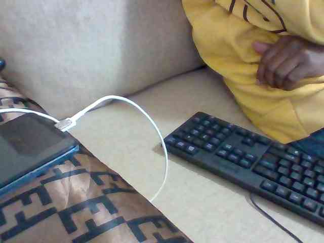 Dollie webcam