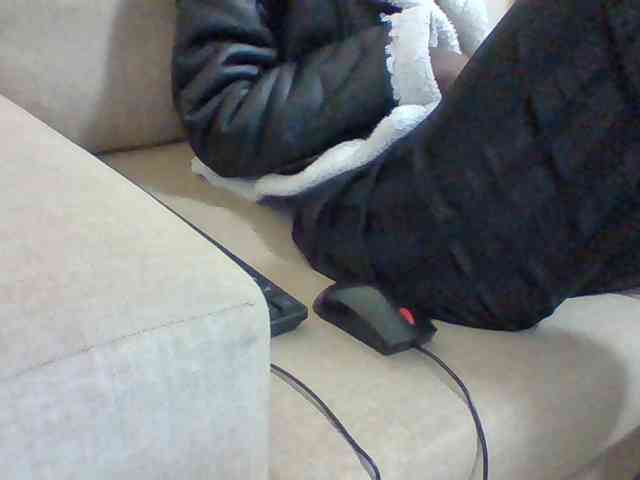 Dollie webcam