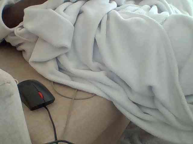 Dollie webcam