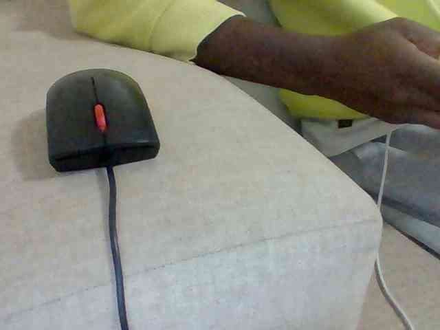 Dollie webcam