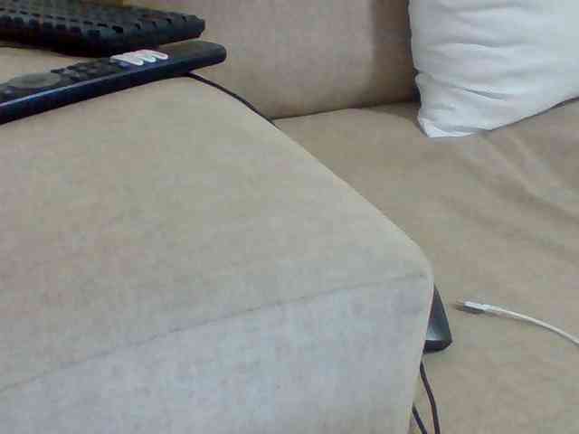 Dollie webcam