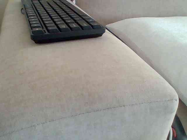 Dollie webcam