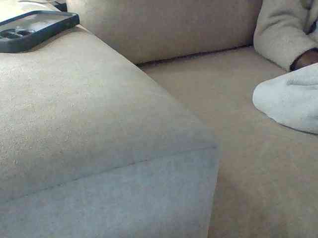 Dollie webcam