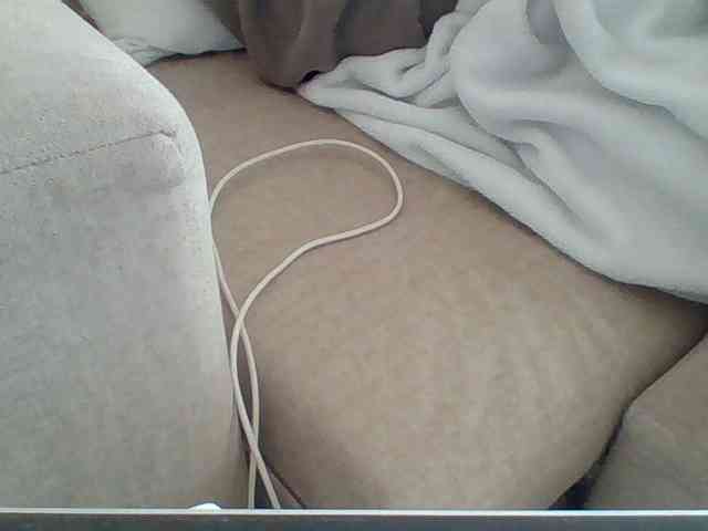 Dollie webcam