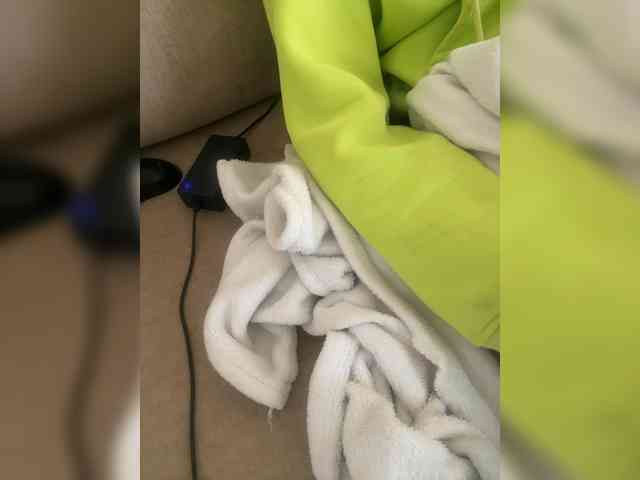 Dollie webcam