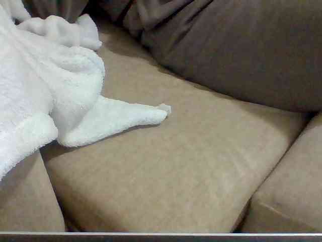 Dollie webcam