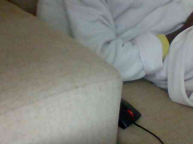 Dollie webcam