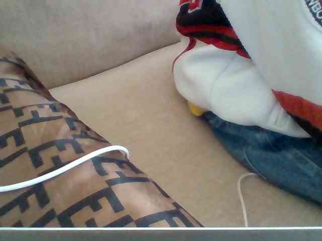 Dollie webcam