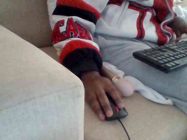 Dollie webcam