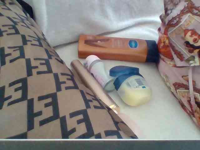Dollie webcam