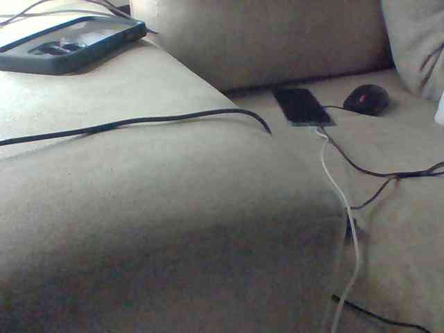 Dollie webcam