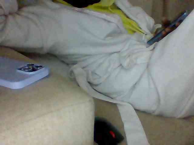 Dollie webcam