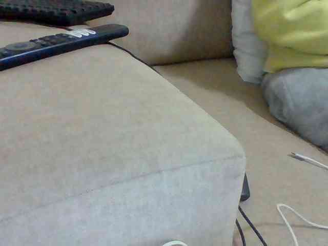 Dollie webcam