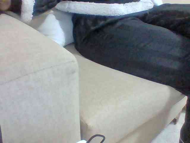 Dollie webcam