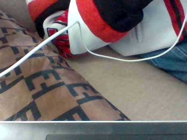 Dollie webcam